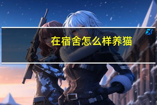 在宿舍怎么样养猫