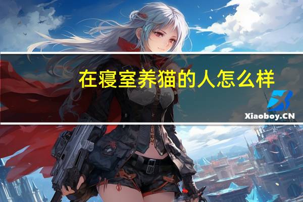 在寝室养猫的人怎么样
