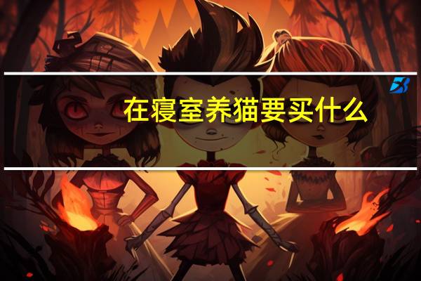 在寝室养猫要买什么