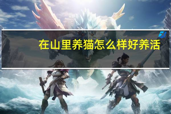 在山里养猫怎么样好养活