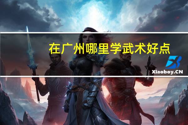 在广州哪里学武术好点，学费低，能快速学到东西的