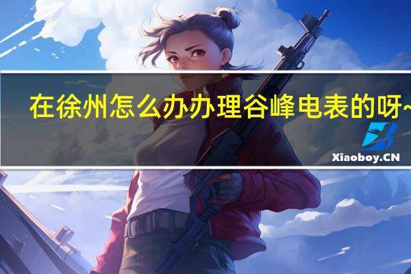 在徐州怎么办办理谷峰电表的呀~~~