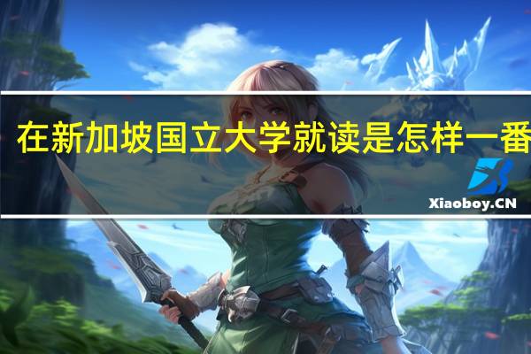 在新加坡国立大学就读是怎样一番体验
