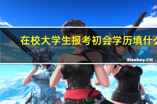 在校大学生报考初会学历填什么