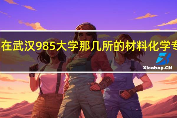 在武汉985大学那几所的材料化学专业好