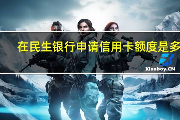 在民生银行申请信用卡额度是多少（在民生银行申请信用卡额度是多少钱）