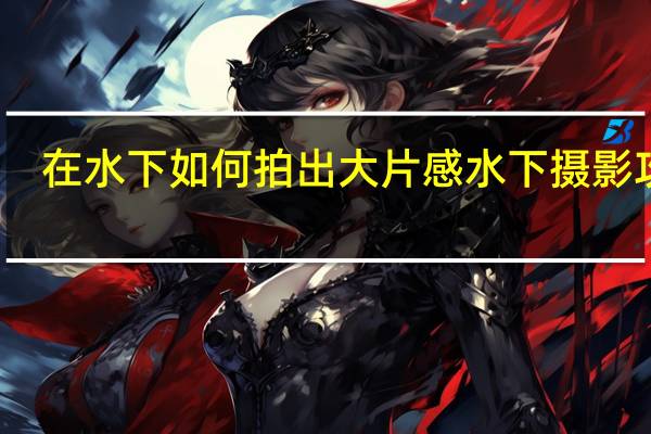 在水下如何拍出大片感 水下摄影攻略