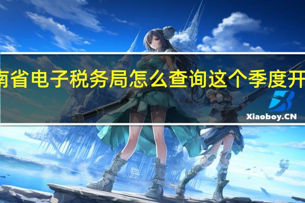 在河南省电子税务局怎么查询这个季度开了多少发票