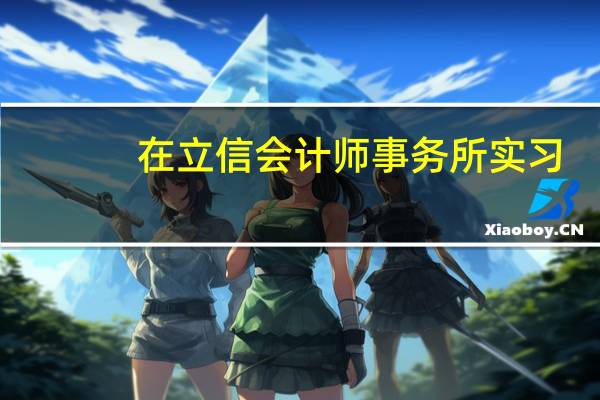 在立信会计师事务所实习