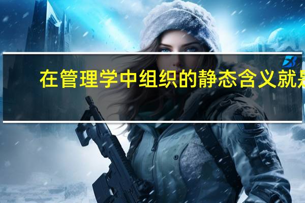 在管理学中组织的静态含义就是