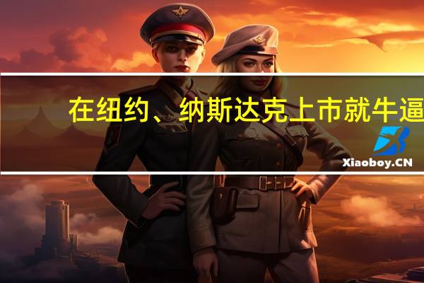 在纽约、纳斯达克上市就牛逼