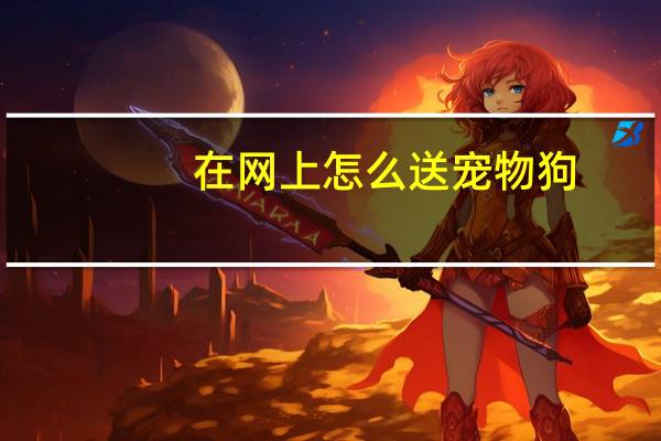 在网上怎么送宠物狗