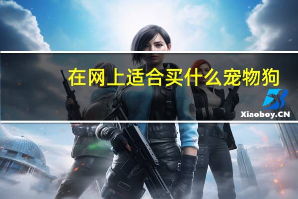 在网上适合买什么宠物狗