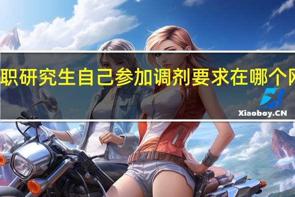 在职研究生自己参加调剂要求在哪个网站完成