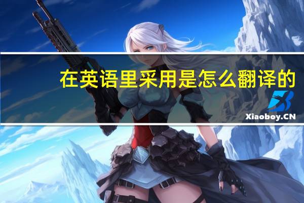 在英语里采用是怎么翻译的?