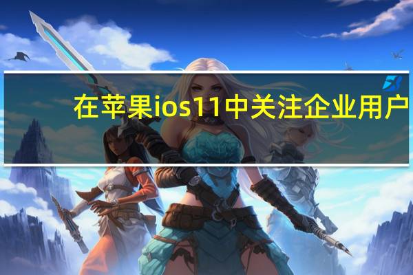 在苹果ios11中关注企业用户