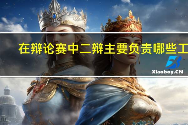 在辩论赛中二辩主要负责哪些工作