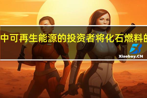 在过去十年中可再生能源的投资者将化石燃料的性能提高了三倍