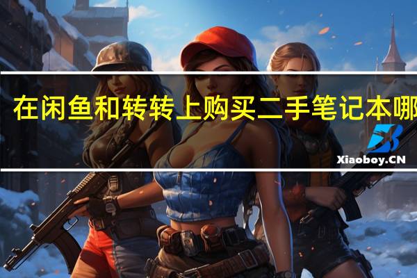 在闲鱼和转转上购买二手笔记本哪个好