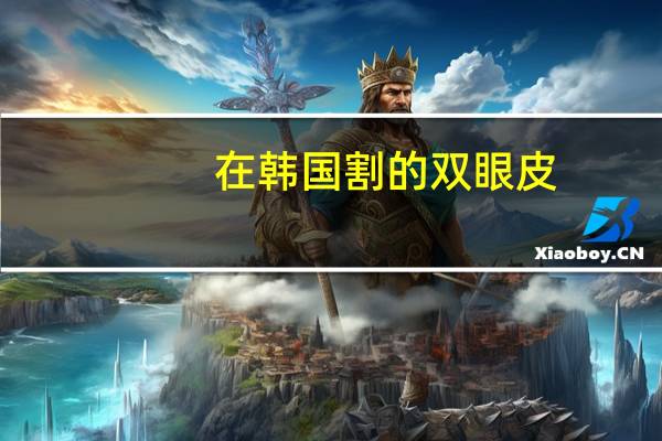 在韩国割的双眼皮(去韩国割双眼皮哪家医院最好求推荐好的医院,谢谢)