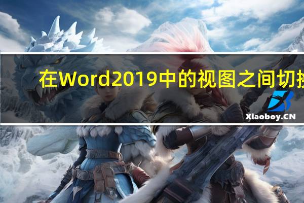 在Word 2019中的视图之间切换