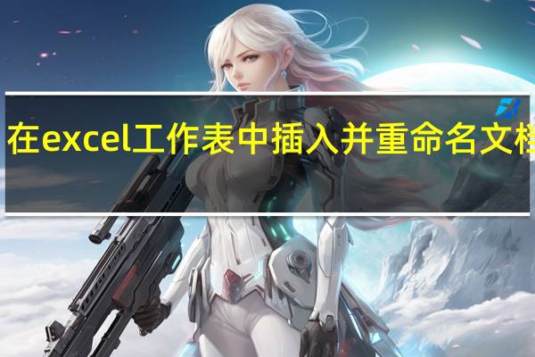 在excel工作表中插入并重命名文档对象