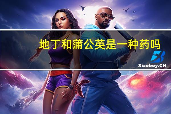 地丁和蒲公英是一种药吗