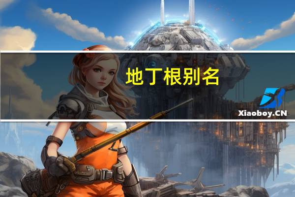 地丁根别名
