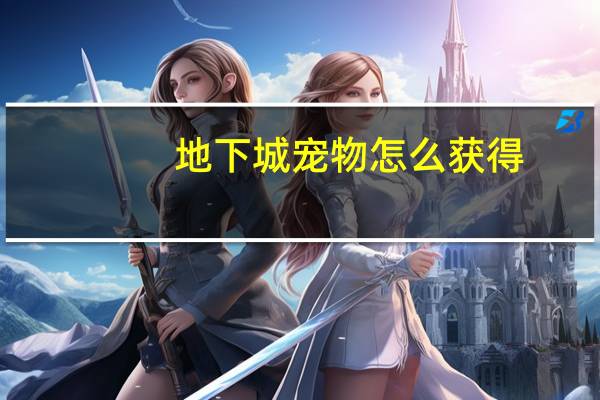 地下城宠物怎么获得