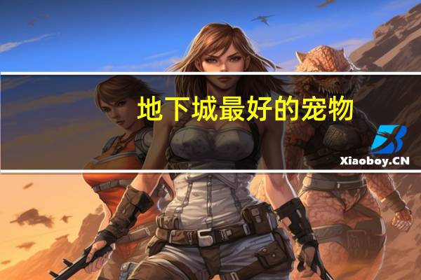 地下城最好的宠物