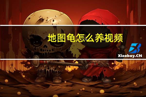 地图龟怎么养视频（地图龟怎么养）