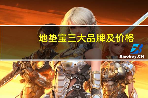 地垫宝三大品牌及价格（地垫宝价格）