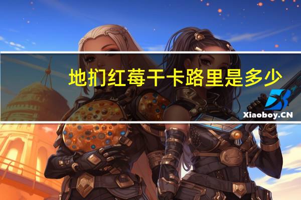 地扪 红莓干卡路里是多少