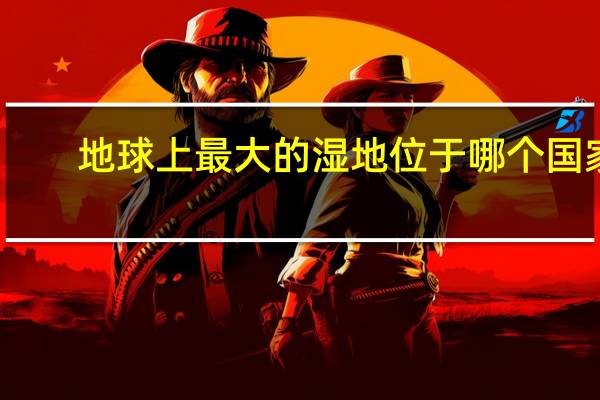 地球上最大的湿地位于哪个国家