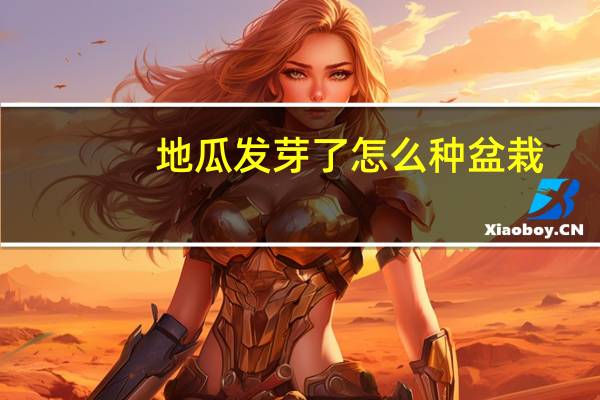 地瓜发芽了怎么种盆栽