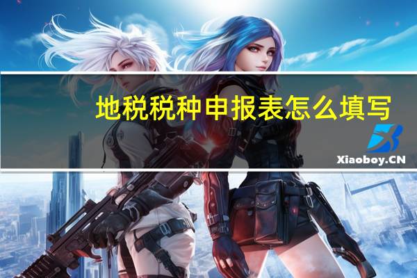 地税税种申报表怎么填写