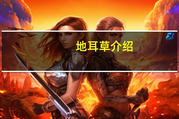 地耳草介绍