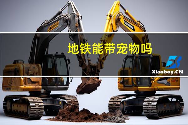地铁能带宠物吗