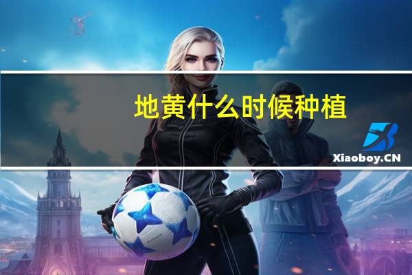 地黄什么时候种植