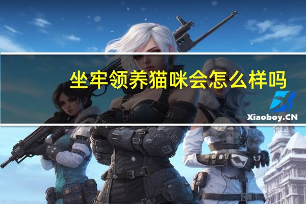 坐牢领养猫咪会怎么样吗