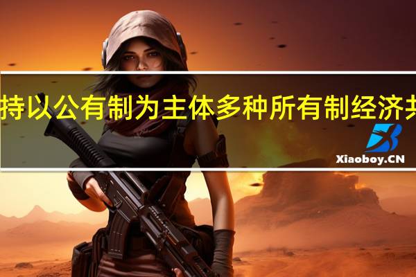 坚持以公有制为主体多种所有制经济共同发展（坚持以公有制为主体坚持农村土地）