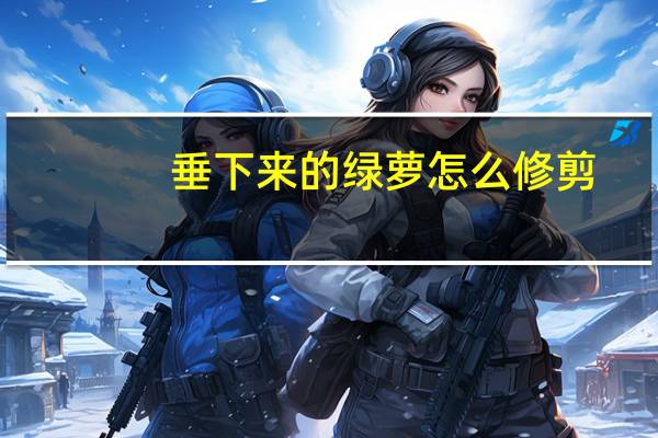 垂下来的绿萝怎么修剪
