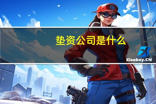 垫资公司是什么（垫资公司是什么意思）