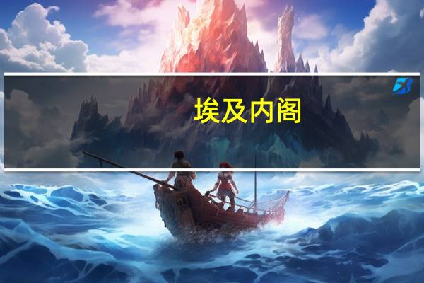 埃及内阁：正在研究降低消费品价格的方法