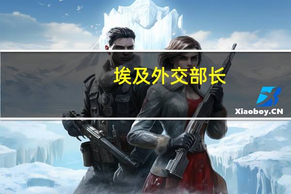 埃及外交部长：无法将以色列对巴勒斯坦人的行动作为自卫行为来辩解