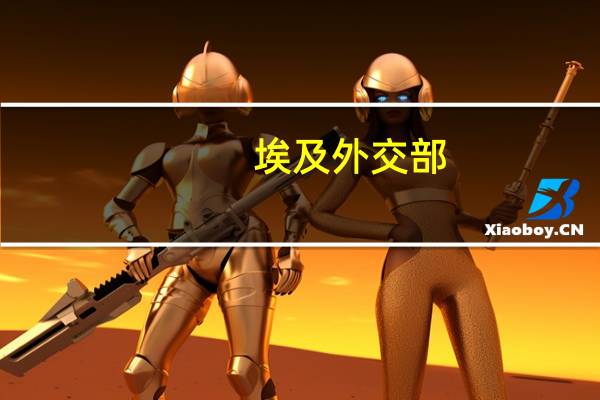 埃及外交部:埃及和加沙地带之间的拉法口岸仍处于开放状态