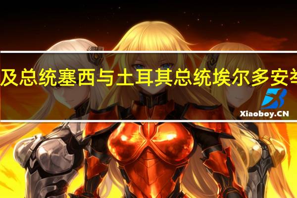 埃及总统塞西与土耳其总统埃尔多安举行会谈