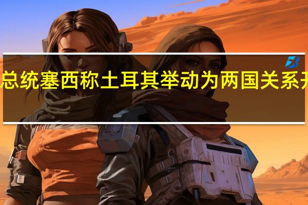 埃及总统塞西称土耳其举动为两国关系开启新篇章