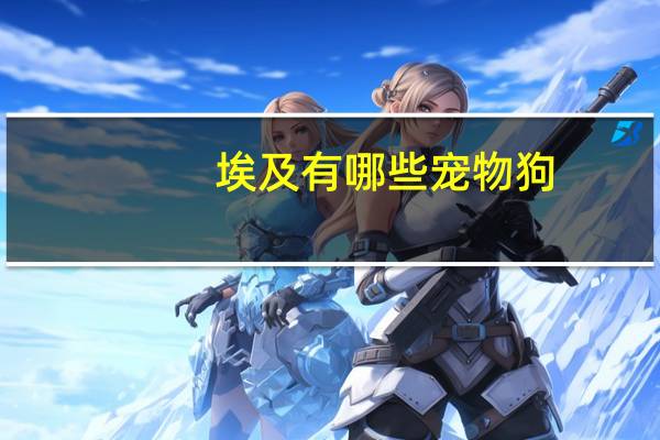 埃及有哪些宠物狗