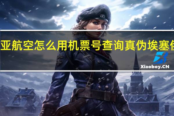 埃塞俄比亚航空怎么用机票号查询真伪 埃塞俄比亚航空公司